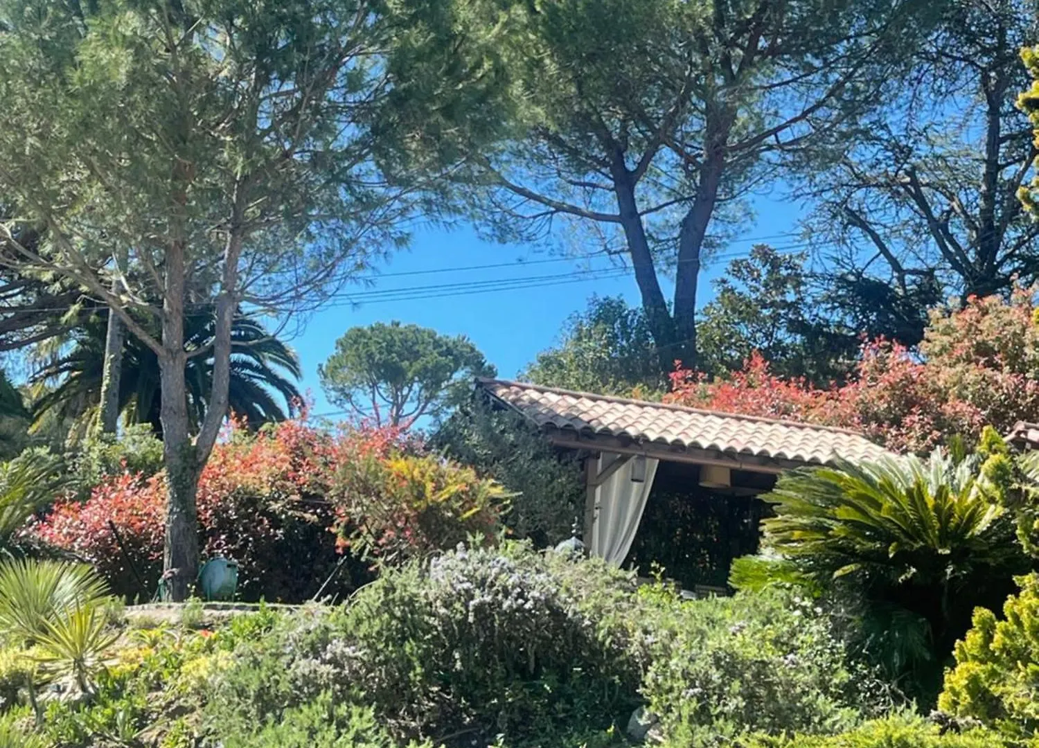 Suite Bastide Magdaleyna موجا